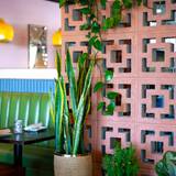 2025 Spring Restaurant Week Photo