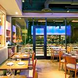 Cover image for Roka Akor - Old Orchard