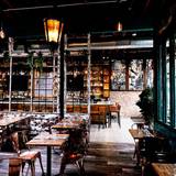 Cover image for El Tacuba