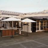 Cover image for Monti's