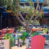 Cover image for JOEY Woodland Hills