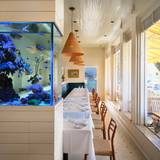Cover image for Clark's Oyster Bar - Austin