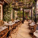 Cover image for Dalloway Terrace