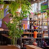 Cover image for Anepalco Restaurant