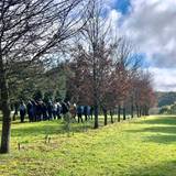 Friday Winter Truffle Hunt photo