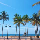 Cover image for Bo's Beach