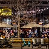 Cover image for Union Bear - Plano