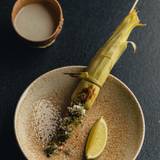 Corn Journey Foto