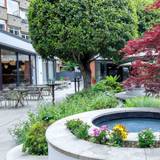 Cover image for Botanica Restaurant & Bar at Bedford Hotel