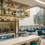 Cover image for Catria Cucina and Bar