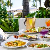 Cover image for Meet Dalia