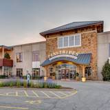 Cover image for Pinstripes - Oak Brook