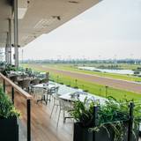 Cover image for Stella Artois Terrace at Woodbine Racetrack