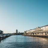 Cover image for Jounieh