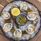 Shucking Social Sunday photo