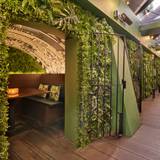Cover image for Leaf and Cane Bar