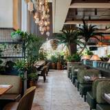 Cover image for Earls Kitchen + Bar - Miami Worldcenter