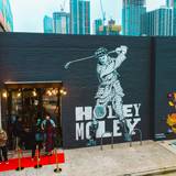 Cover image for Holey Moley - Austin