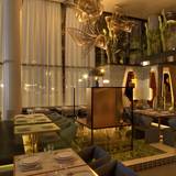 Cover image for Restaurant Kava