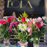 Mothers Day - Spoil Her Silly - Brunch Block Party Photo
