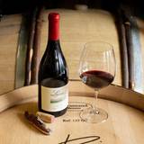 Meet the Winemaker: Mark Pisoni foto