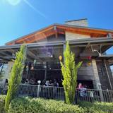 Cover image for McMenamins Cedar Hills