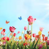 Celebrate Mom with a Special Three-Course Menu foto