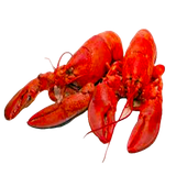 Lobster Frenzy foto