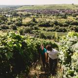 Vom Boden Wine Dinner foto