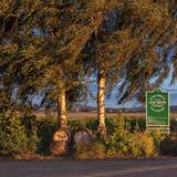 An Evening with David Coelho of Coelho Winery foto