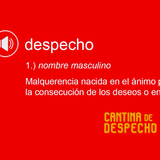 🎙️Cantina de Despecho Nights photo