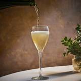 A Sparkling Bank Holiday, Half-Price Prosecco Photo