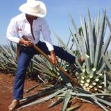Pick Your Proof Dinner feat Don Julio and Seedlip foto
