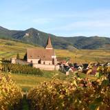 ​Alsace Wine Dinner with Jérôme Mader foto