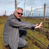 David Paige Wine Dinner Foto