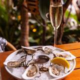 $1 Oysters Thursday foto