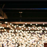 Cover image for Joe's Live