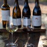 Wine and Bites with Appellation Wine Company Photo