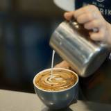 Coffee Stop  | 30mins Foto