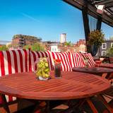 Cover image for The Dark Horse Terrace