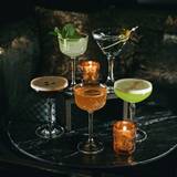 Cover image for Botonica