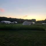 Summer Harvest Dinner Foto