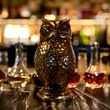 Cover image for The Bronze Owl