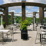 Cover image for The Splendid Rooftop