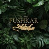 Cover image for Pushkar Cocktail Bar & Dining