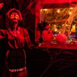 Cover image for The Wicked Pig Halloween Pop Up Bar