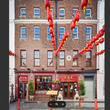 Cover image for Golden Phoenix