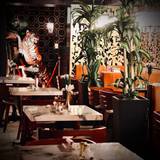 Cover image for Montana's Miami Beach