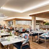 Cover image for Harrison's