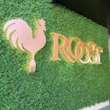 Cover image for Roost